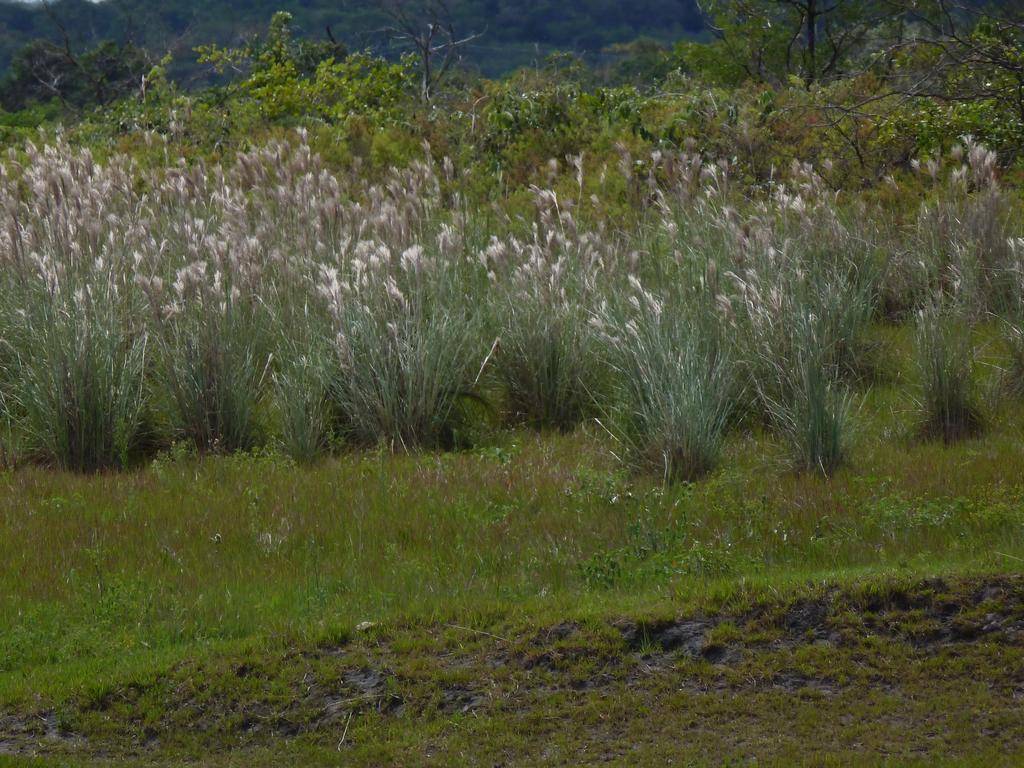 Pousada Vovo Alice Serra do Cipo National Park Exterior photo